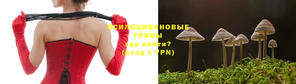 MDMA Горнозаводск