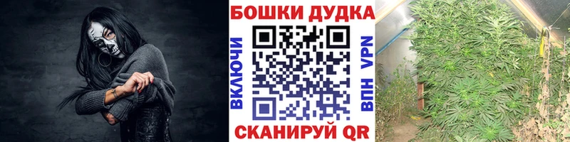 Марихуана White Widow  Купить где  Карачаевск 